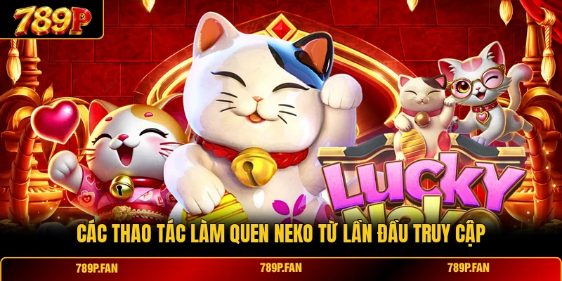Các thao tác làm quen Neko từ lần đầu truy cập