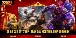 Đá Gà Cựa Sắt 789P - Trận Đấu Kịch Tính, Nhịp Độ Nhanh